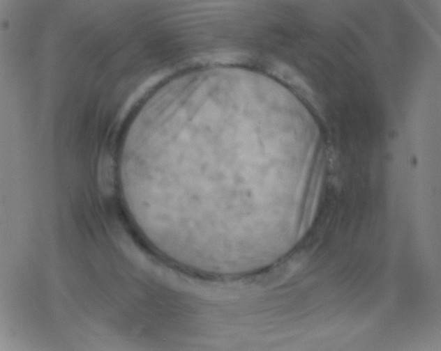 X0000077330012200611101535