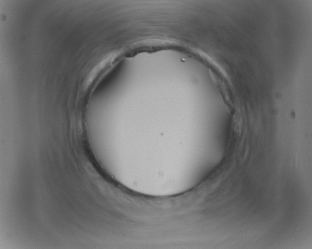 X0000077330015200611101535