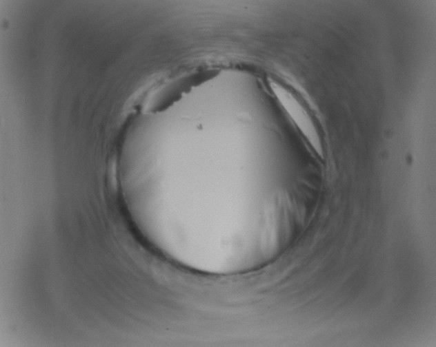 X0000077330019200611101535