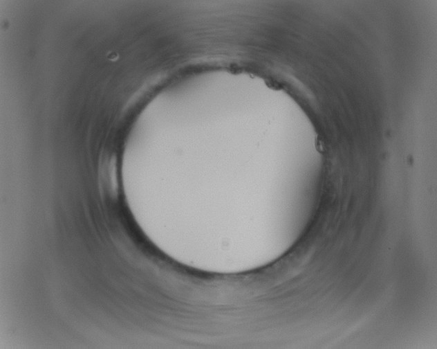 X0000077330020200611101535