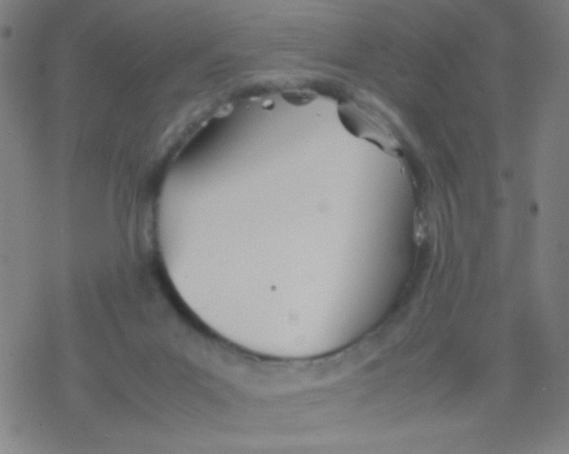 X0000077330023200611101535