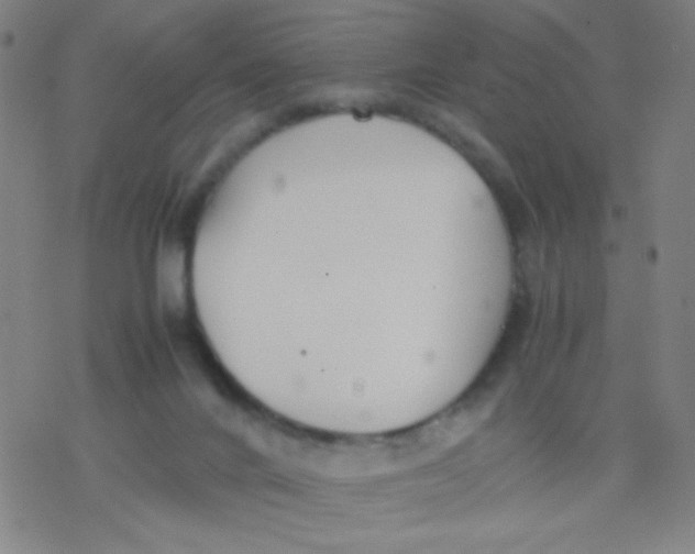 X0000077330024200611101535