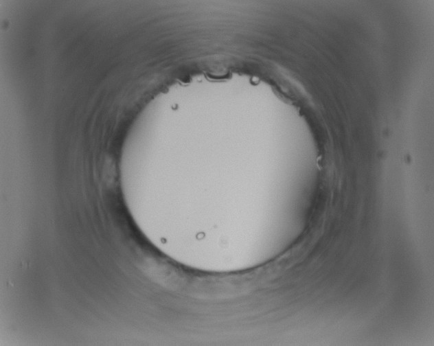 X0000077330025200611101535