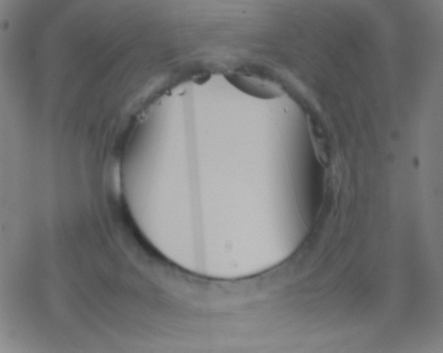 X0000077330027200611101535