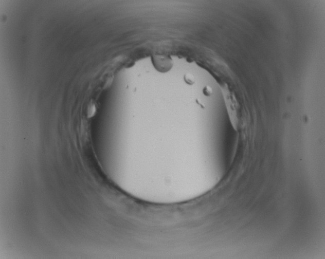 X0000077330029200611101535