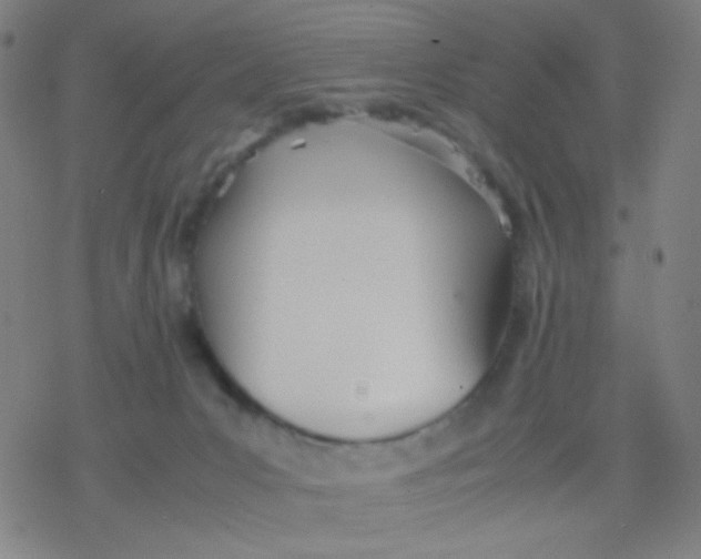 X0000077330031200611101535