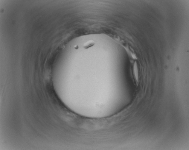 X0000077330033200611101535