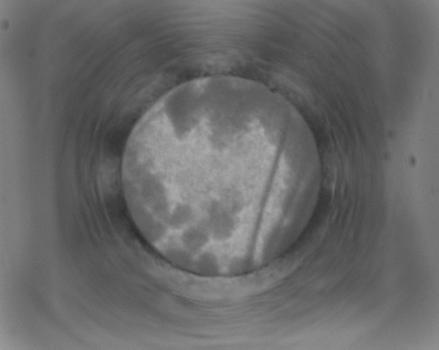 X0000077330034200611101535