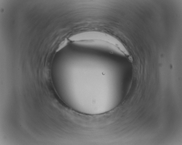 X0000077330035200611101535