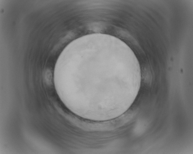 X0000077330036200611101535