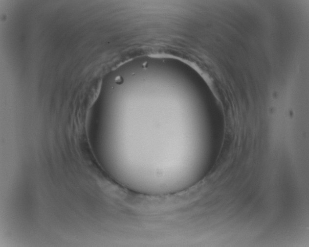 X0000077330037200611101535