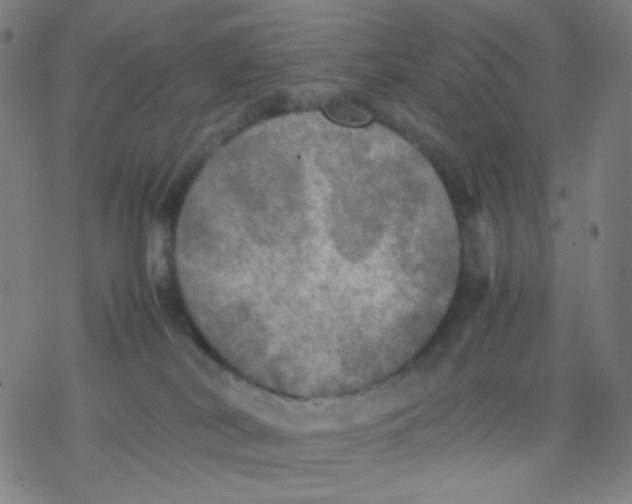 X0000077330038200611101535