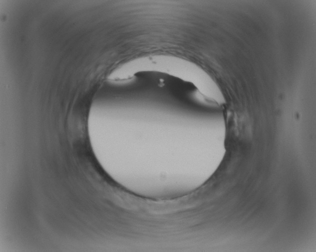 X0000077330039200611101535