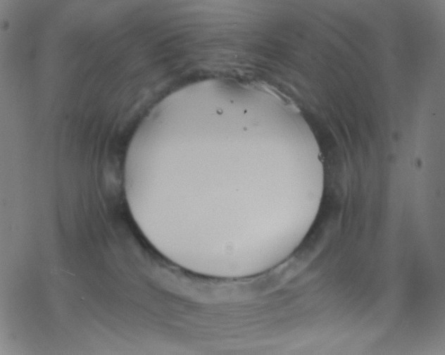 X0000077330040200611101535