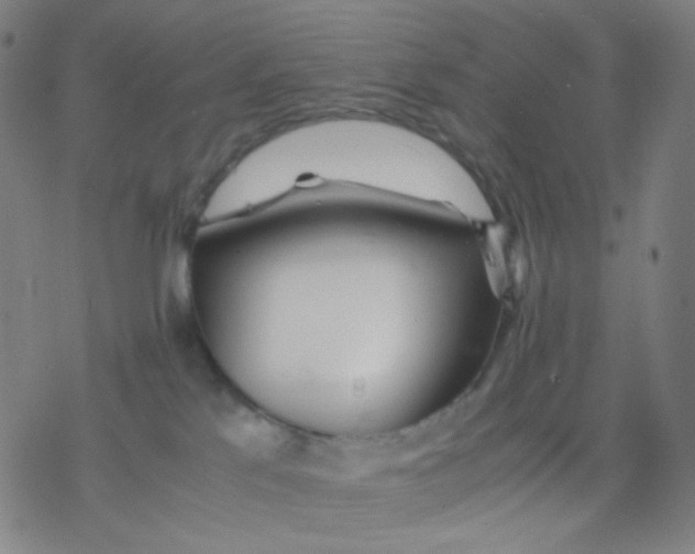 X0000077330041200611101535