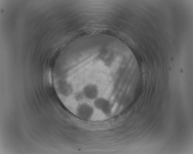 X0000077330042200611101535