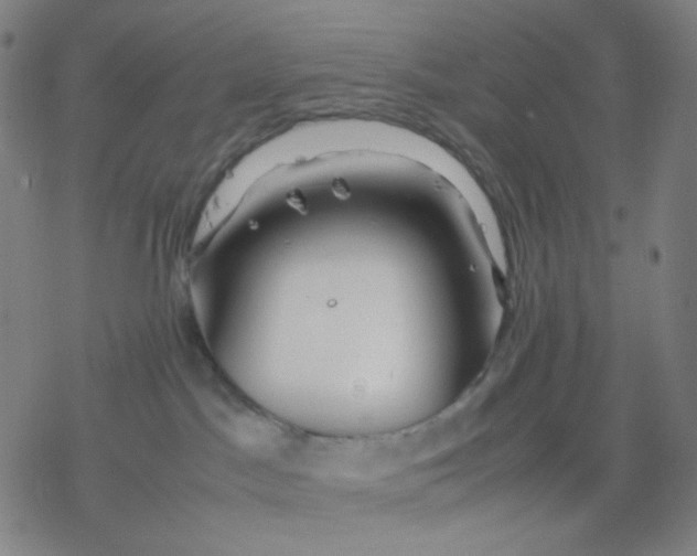 X0000077330045200611101535