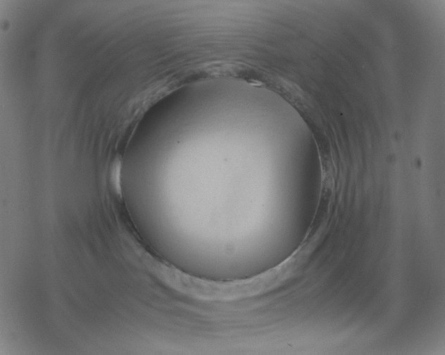 X0000077330047200611101535