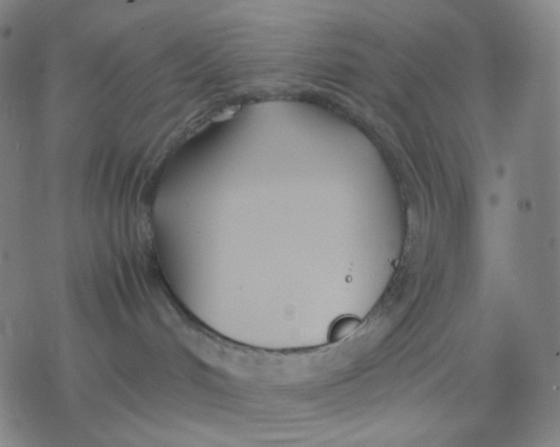 X0000077330048200611101535