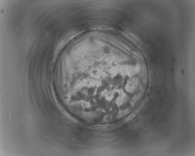 X0000077330049200611101534