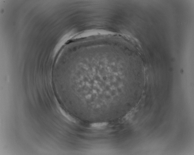 X0000077330051200611101534