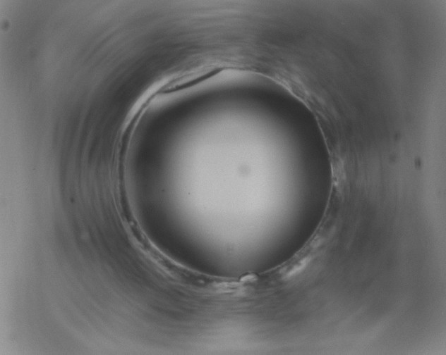 X0000077330052200611101534