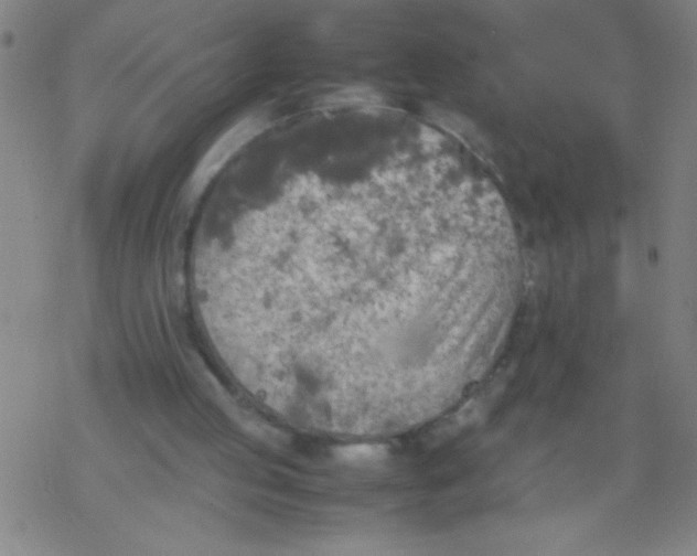 X0000077330053200611101534