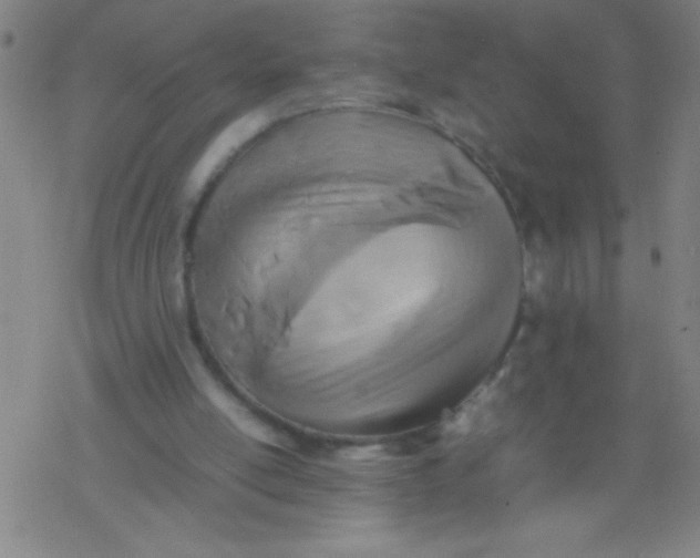 X0000077330054200611101534