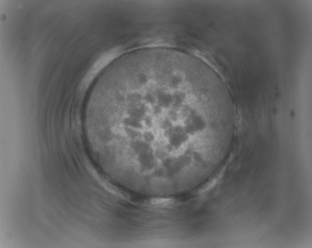 X0000077330055200611101534