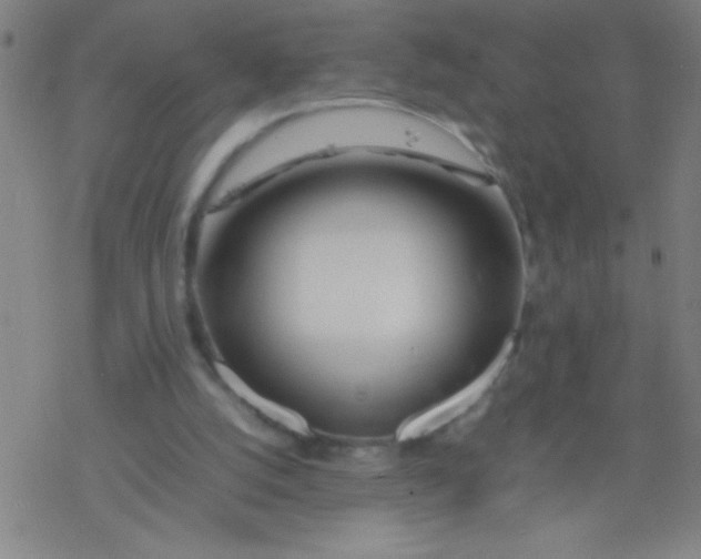 X0000077330056200611101534