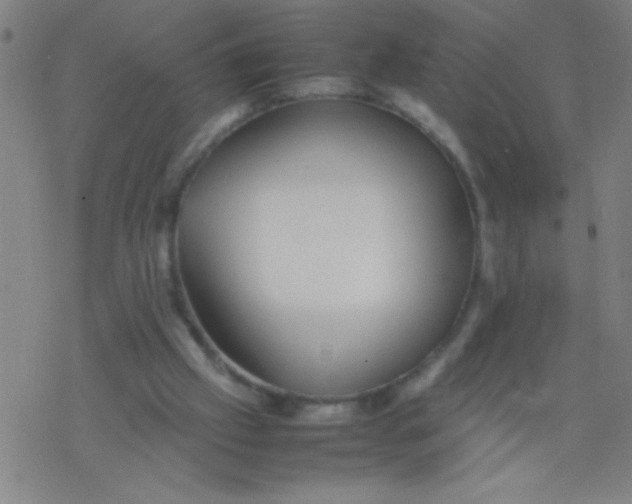 X0000077330057200611101534