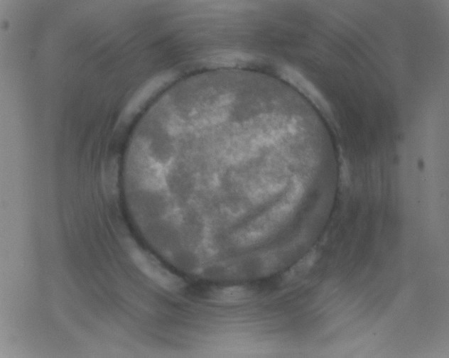 X0000077330058200611101534