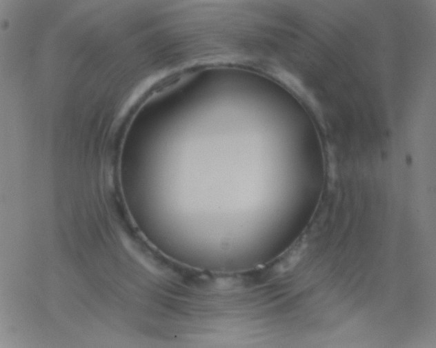 X0000077330060200611101534