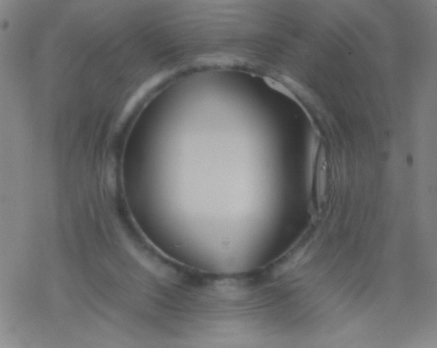 X0000077330064200611101534