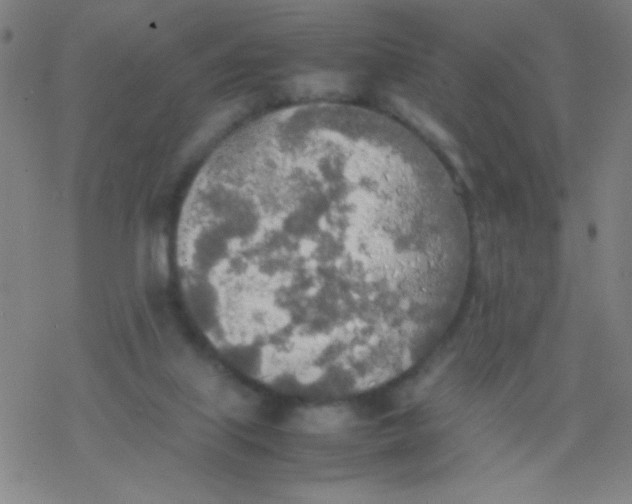 X0000077330067200611101534