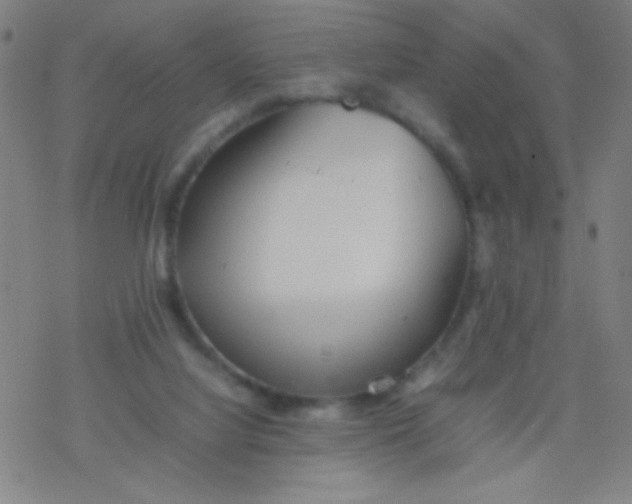 X0000077330068200611101534