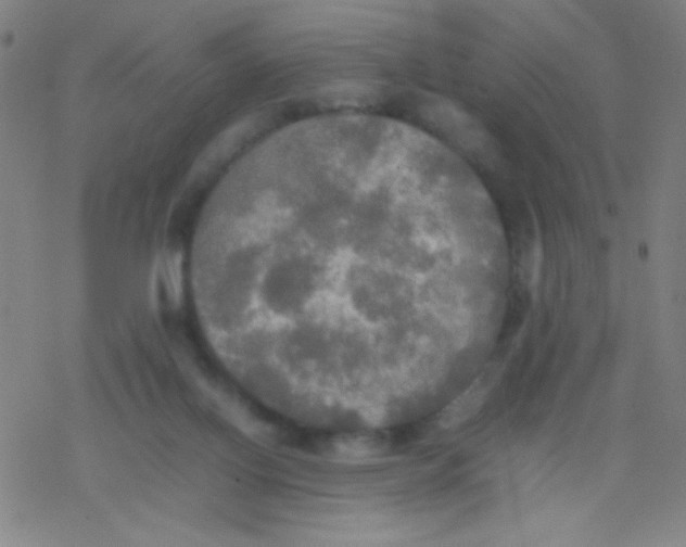 X0000077330070200611101534