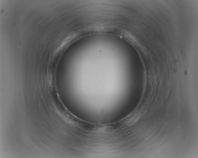 X0000077330072200611101534