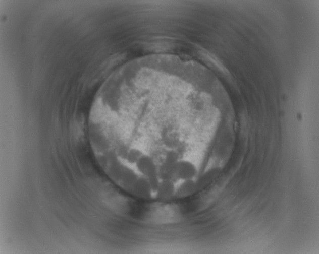 X0000077330073200611101534