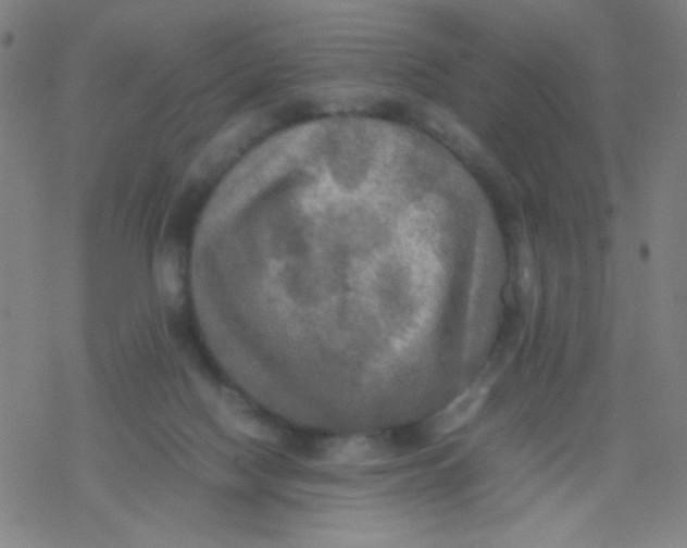 X0000077330074200611101534