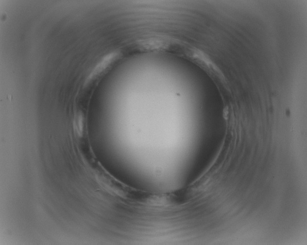 X0000077330076200611101534