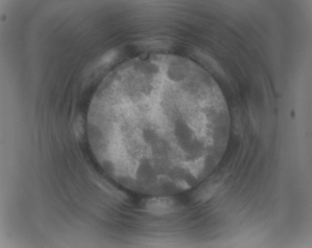 X0000077330077200611101534