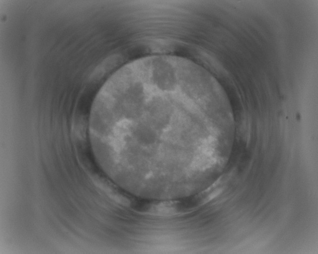 X0000077330078200611101534