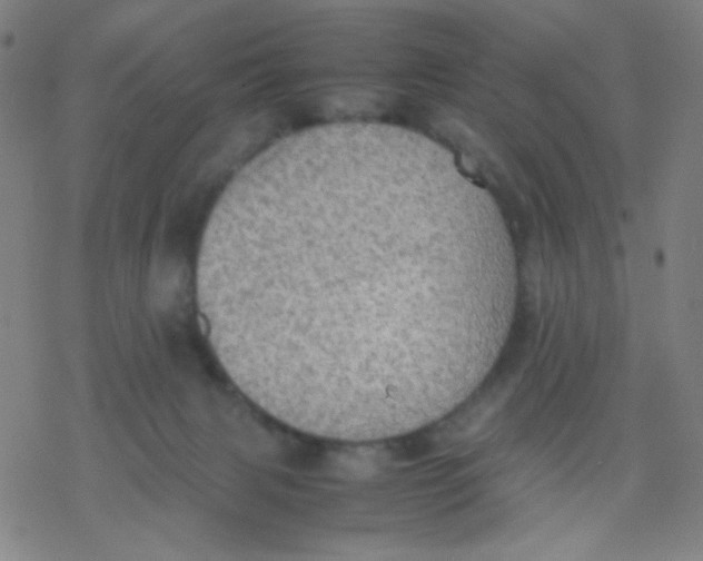 X0000077330079200611101534