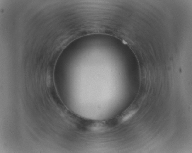 X0000077330080200611101534