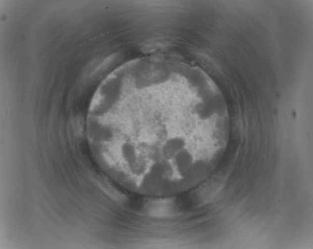 X0000077330081200611101534