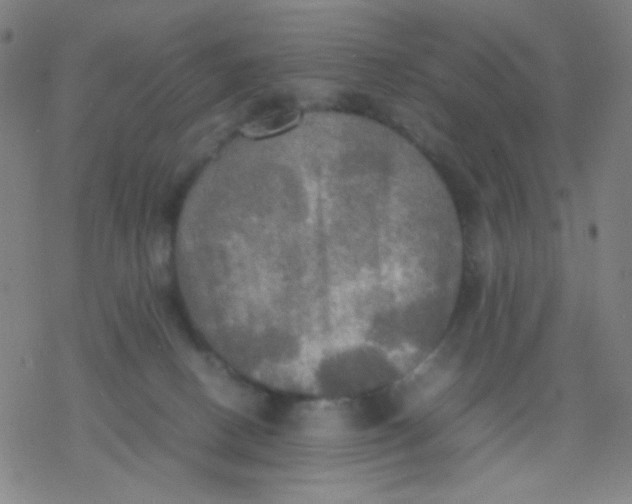 X0000077330082200611101534