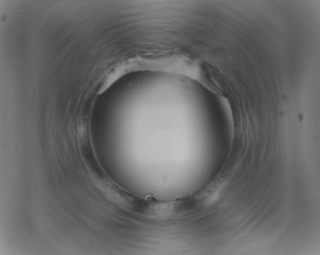 X0000077330084200611101534