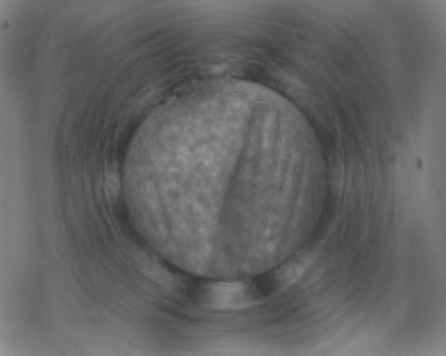 X0000077330085200611101534