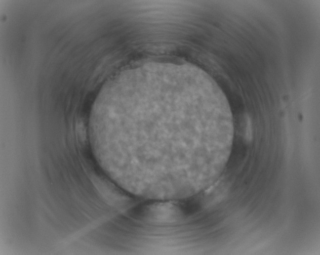 X0000077330086200611101534